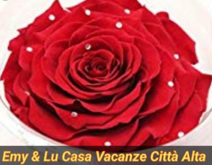 Hébergement de vacances Emy & Lu Casa Vacanze Citta' Alta Centro Storico *